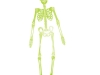 esqueleto-neon-01