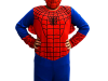 01-infantil-masculino-super-heroi-aranha-04