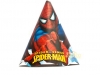 artigo-homem-aranha-chapeu